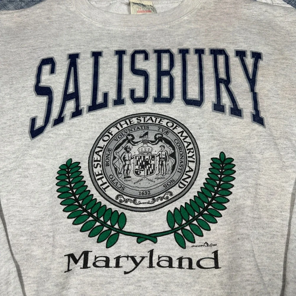 Vintage 1987 Salisbury Maryland Sweatshirt XL Gray My Town Originals Made in USA